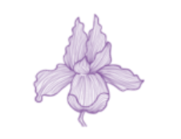 Delta Phi Epsilon Flower