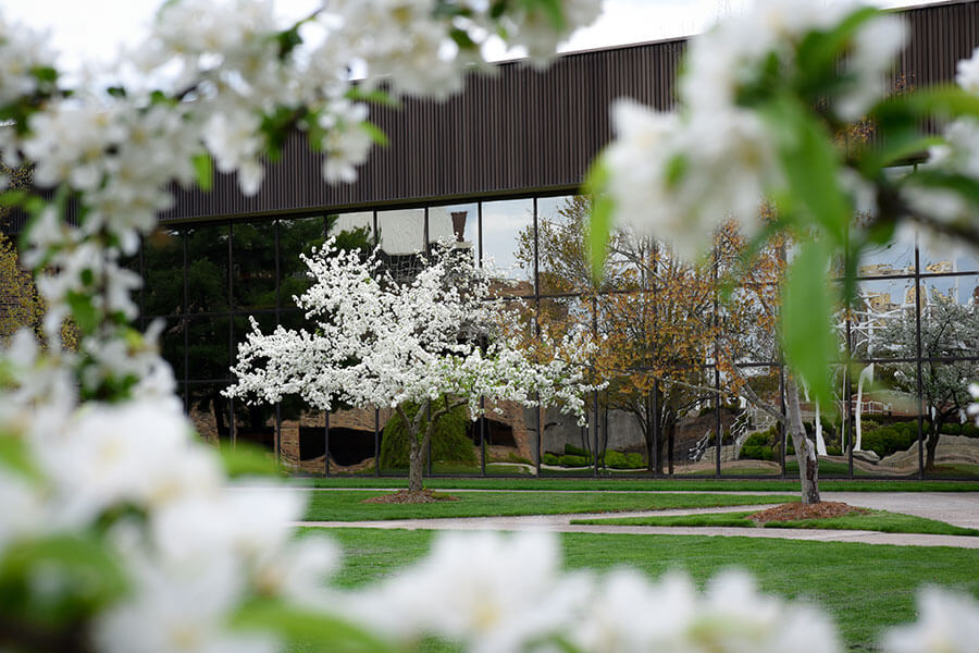 Trees outside Kricker Hall on SSU's campus