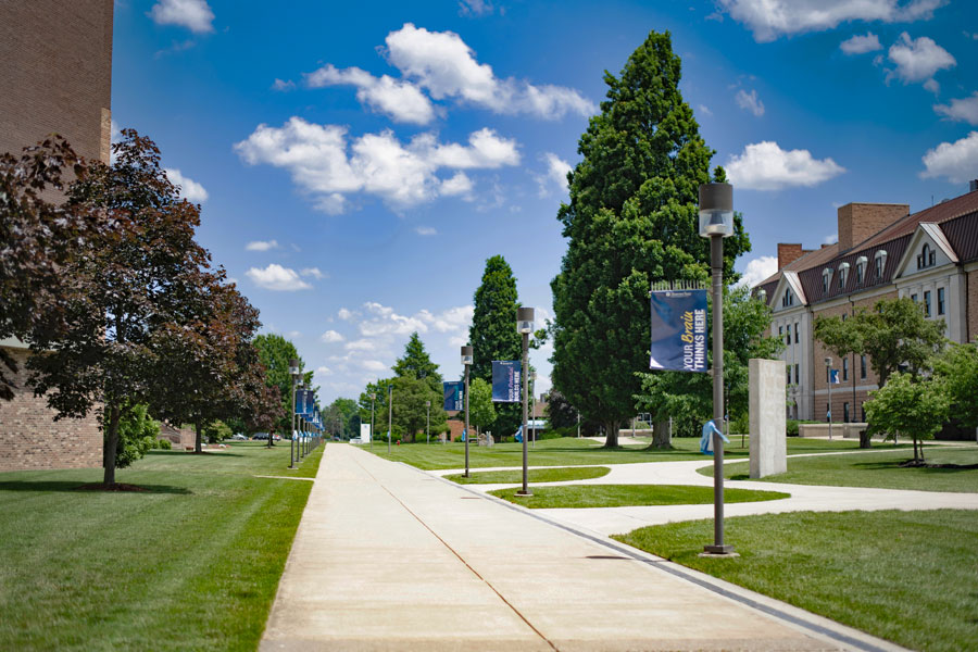 view of SSU campus in Summer