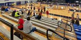picture of crowd at volleyball match